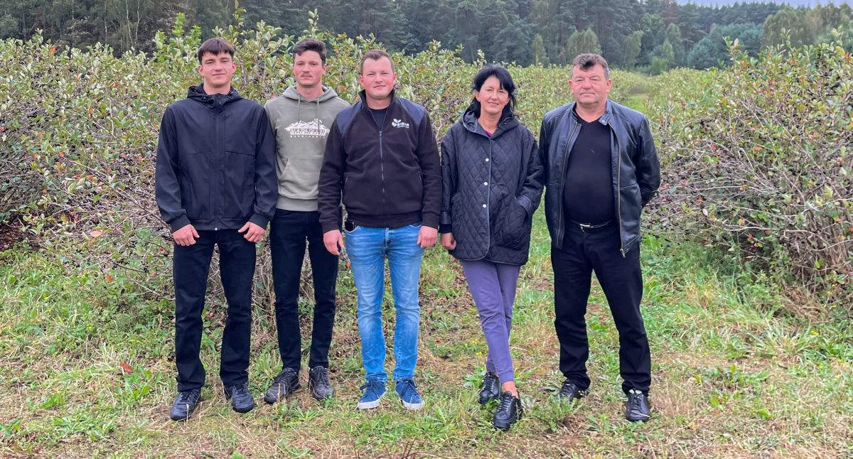 Dokąd Niezgódków zaprowadzi aronia?