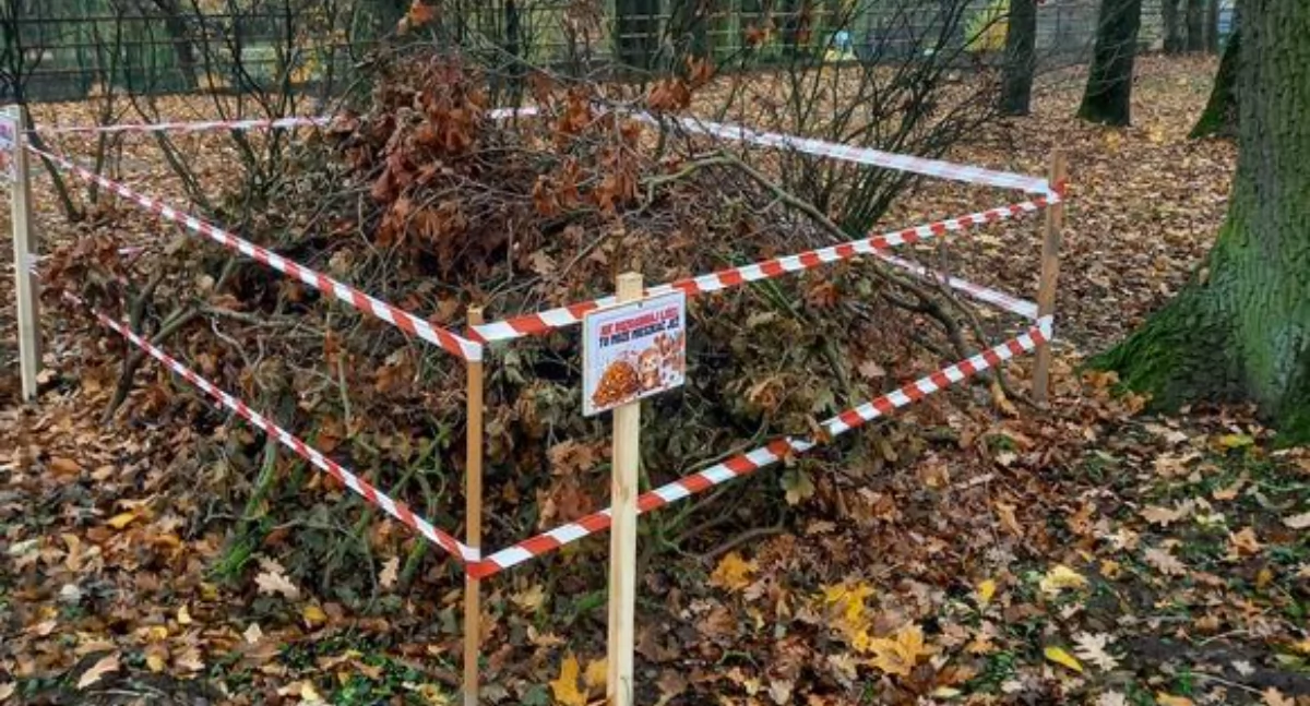 Dla kogo takie domy? Dla jeży!