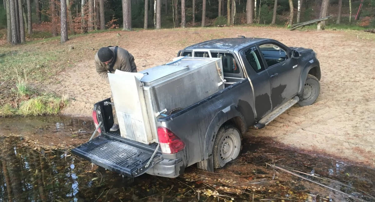 Gmina Okonek zarybia jeziora – ponad pół tony narybku trafiło do wód