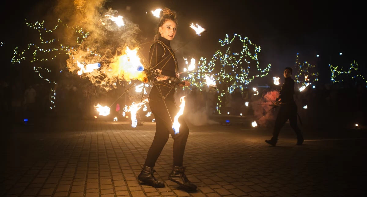 [WIDEO] Okonek przywitał Nowy Rok