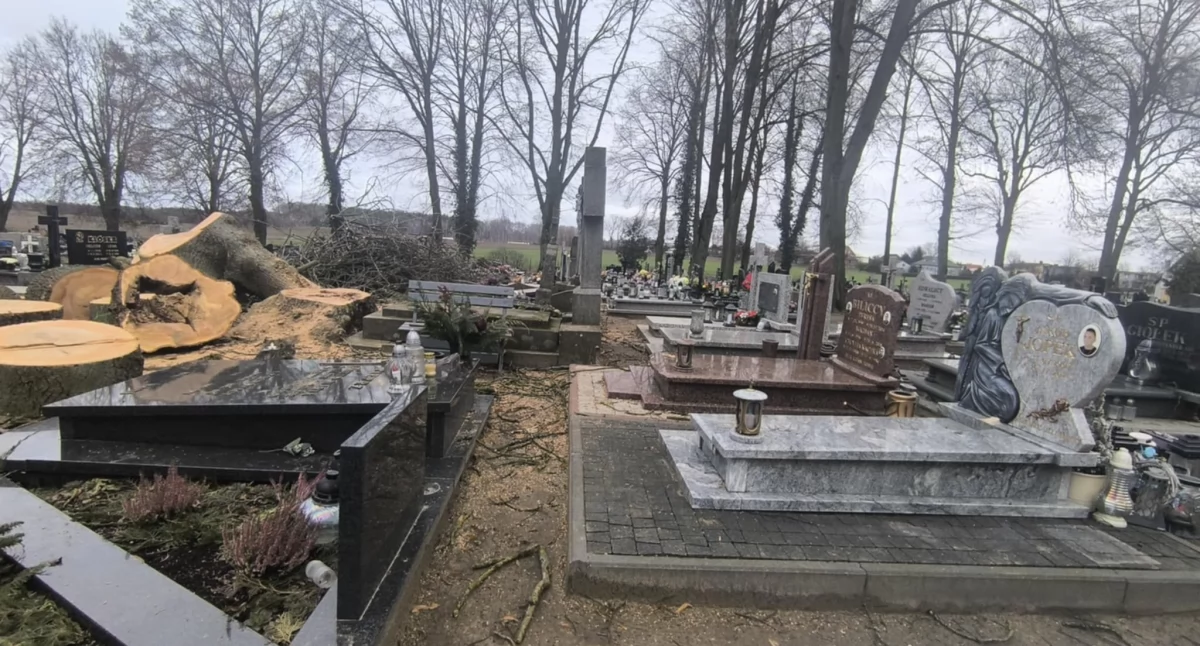 Nie uszanowano grobów, czy tak powinna być prowadzona wycinka?