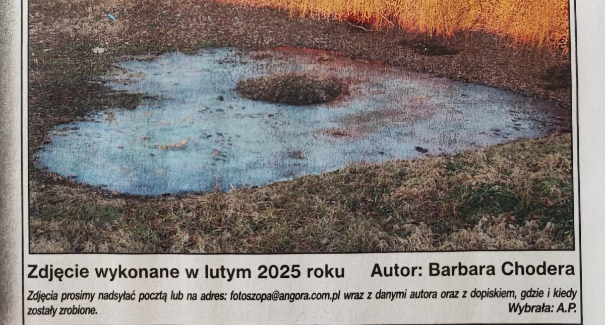 Zdjęcie Pani Basi Chodery ponownie w Angorze