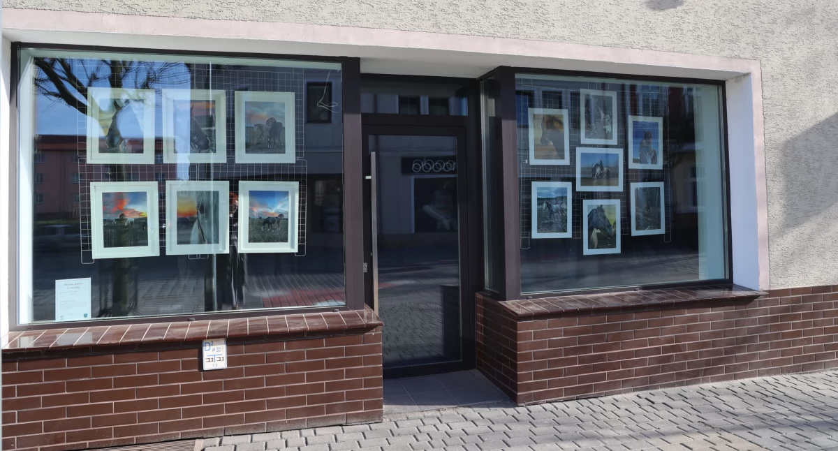 Miejska Galeria w Okienku prezentuje fotografie Nicoli Adler