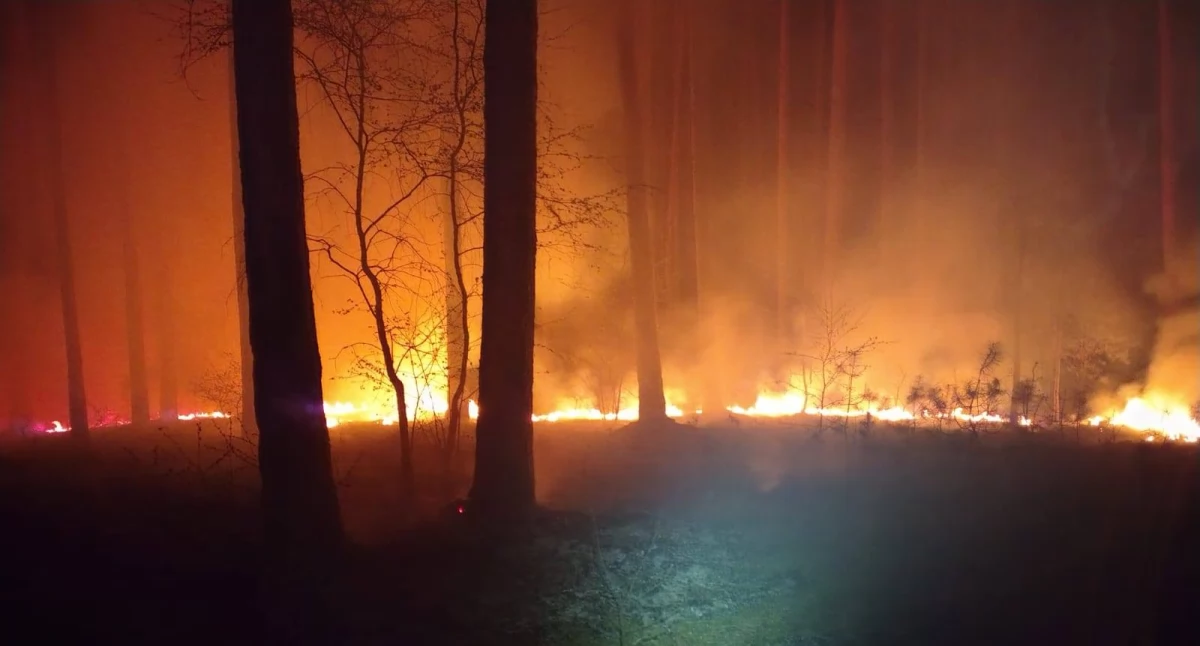 Pożar lasu w Skórce