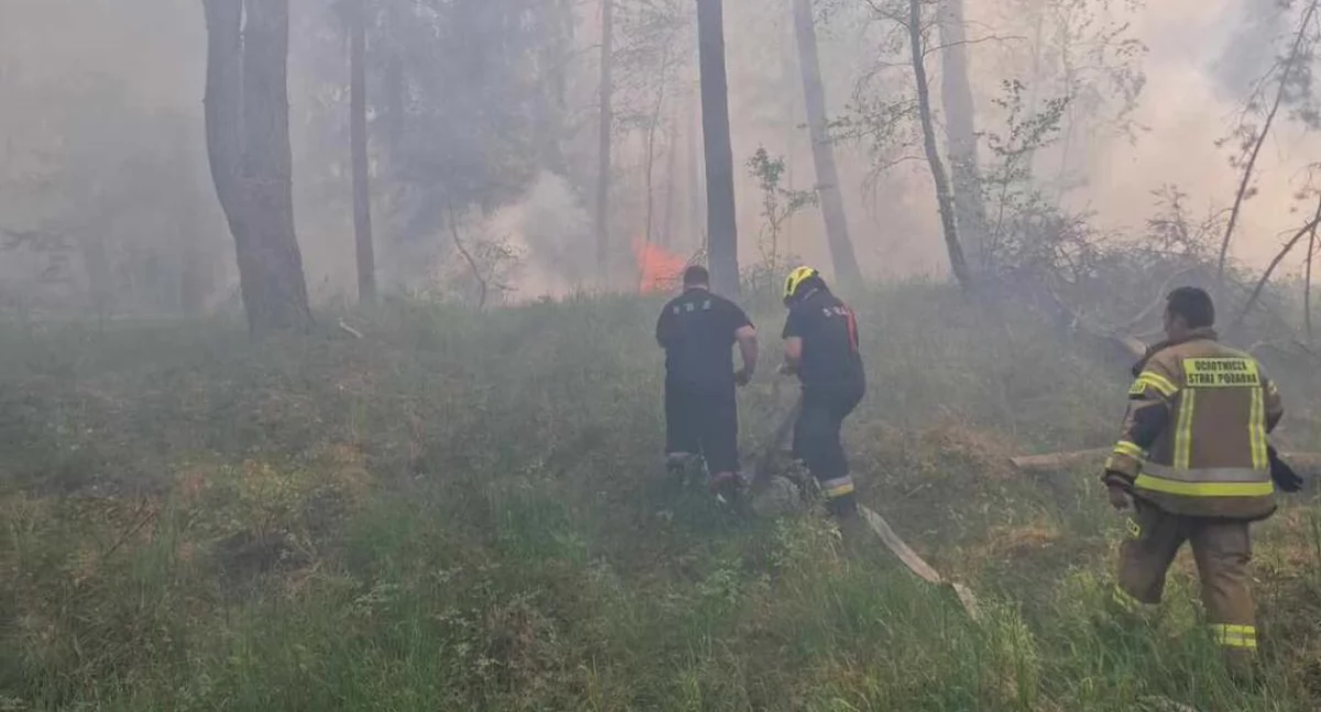 Samoloty gaśnicze ruszyły do akcji w Nadleśnictwie Jastrowie