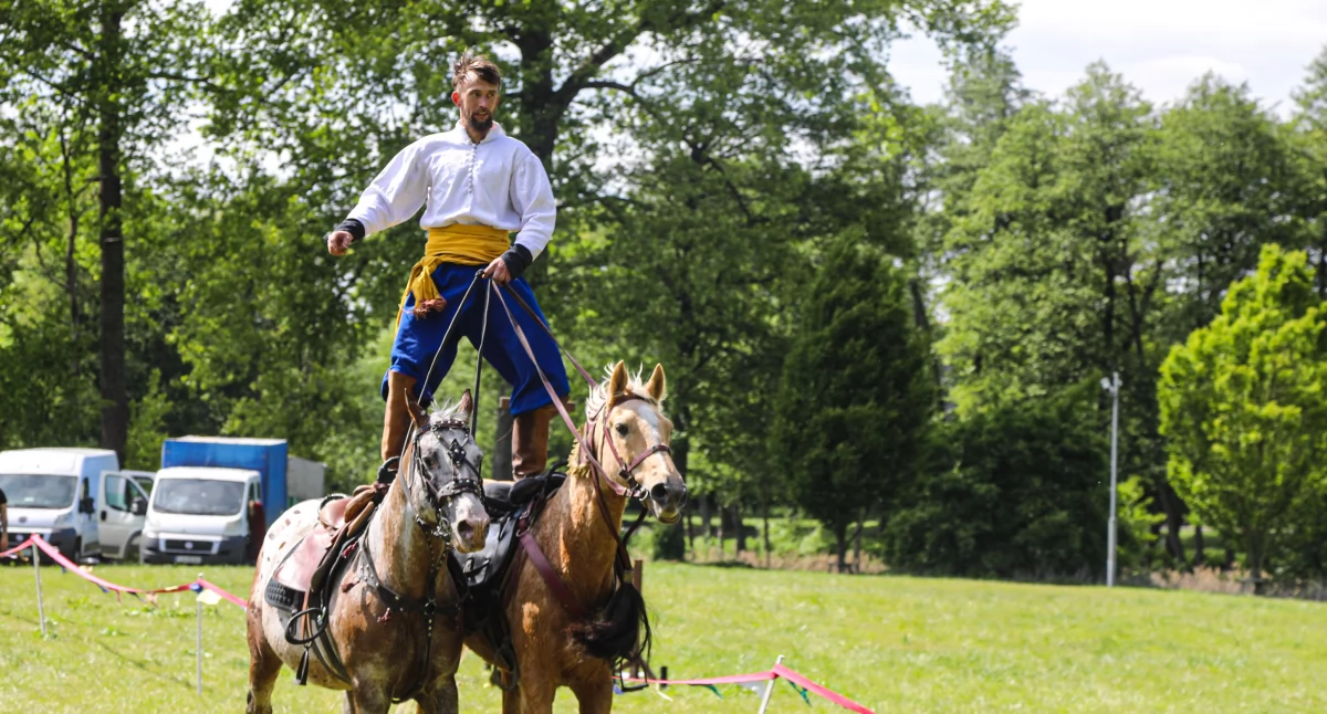 Finał pikniku historycznego – akrobacje konne w obiektywie 
