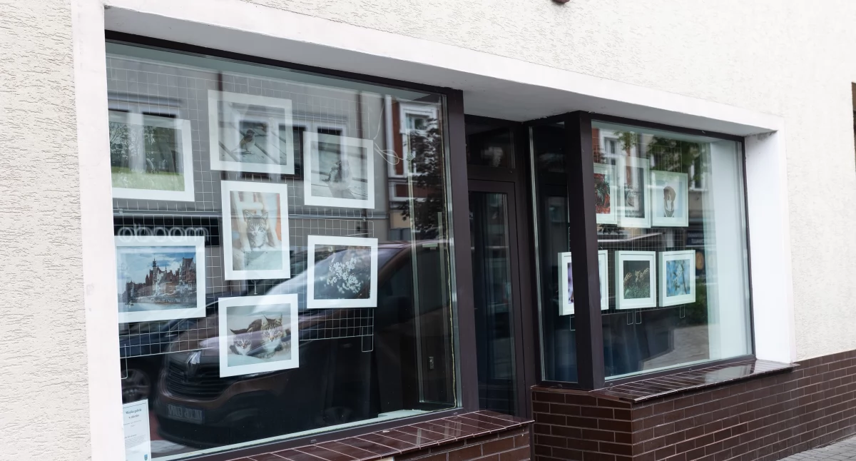 Miejska galeria w okienku” – fotografie Agaty Bartenowskiej