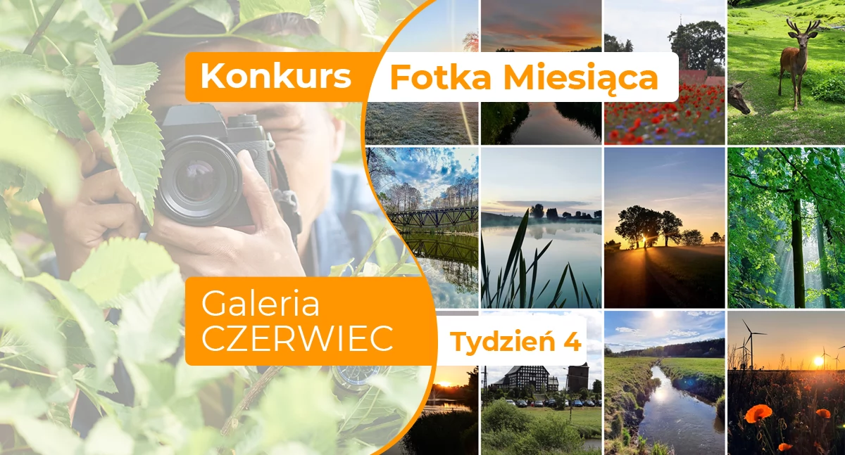 Fotka miesiąca czerwiec - tydzień czwarty