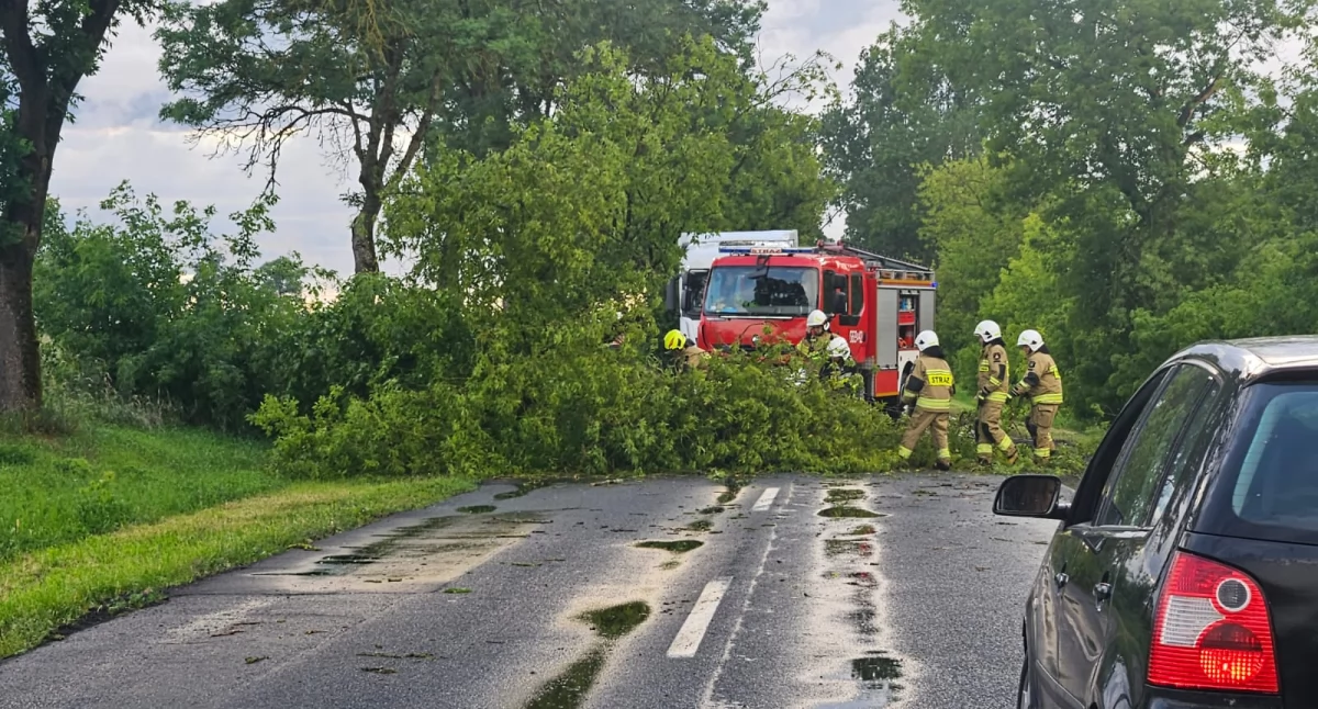 Strażacy walczą ze skutkami wichury. W nocy kolejne alerty pogodowe