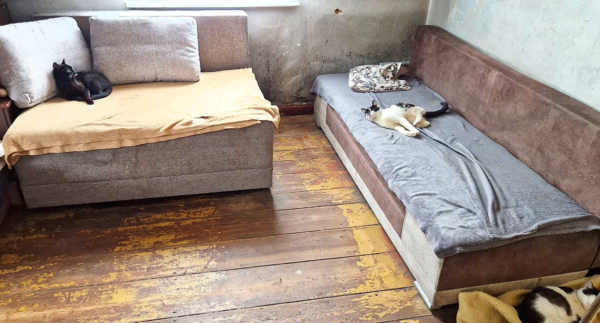 Odebrali jej dzieci – matka szuka zrozumienia, sąd mówi o zaniedbaniach