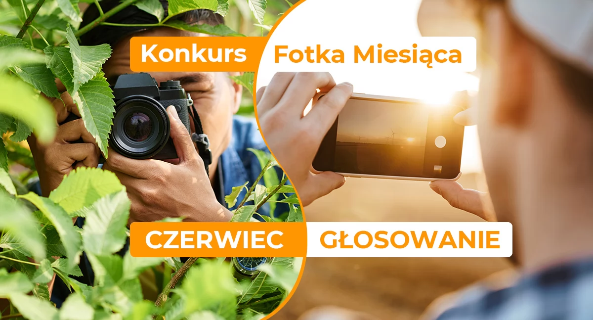 Zagłosuj w konkursie i pomóż wyłonić Fotkę Miesiąca czerwca