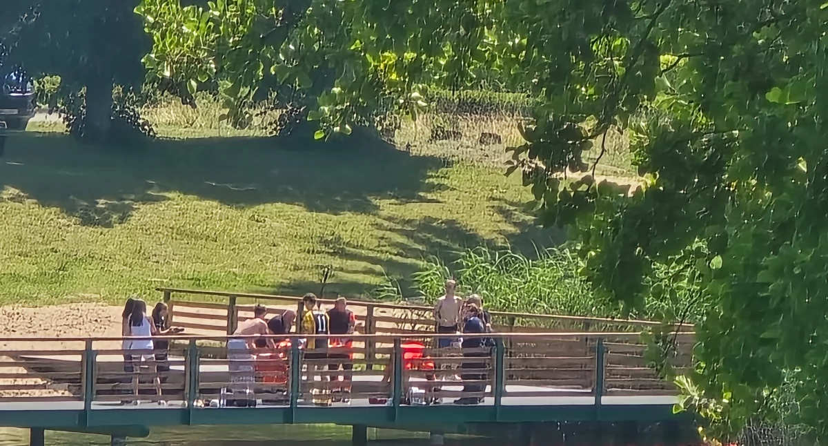 [wideo] Młodzież, woda i brak rozsądku. Skok do wody zakończony urazem