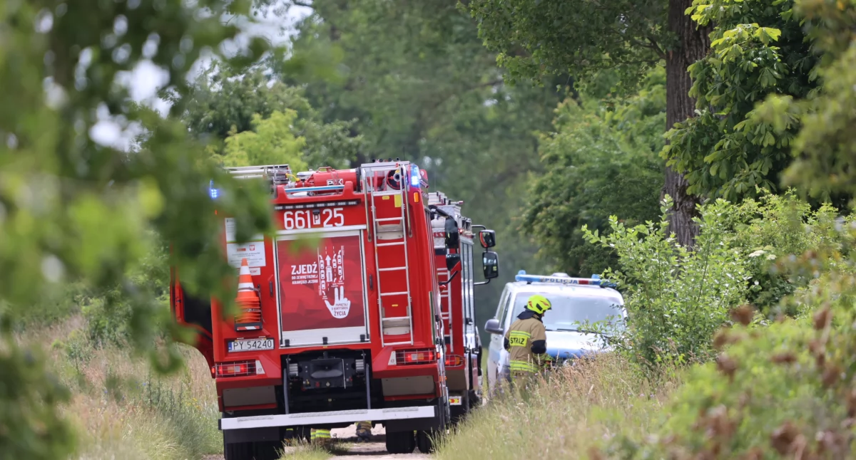 Pożar drzewa oraz otaczajacych zarośli pod Górzną. Strażacy szybko opanowali sytuację