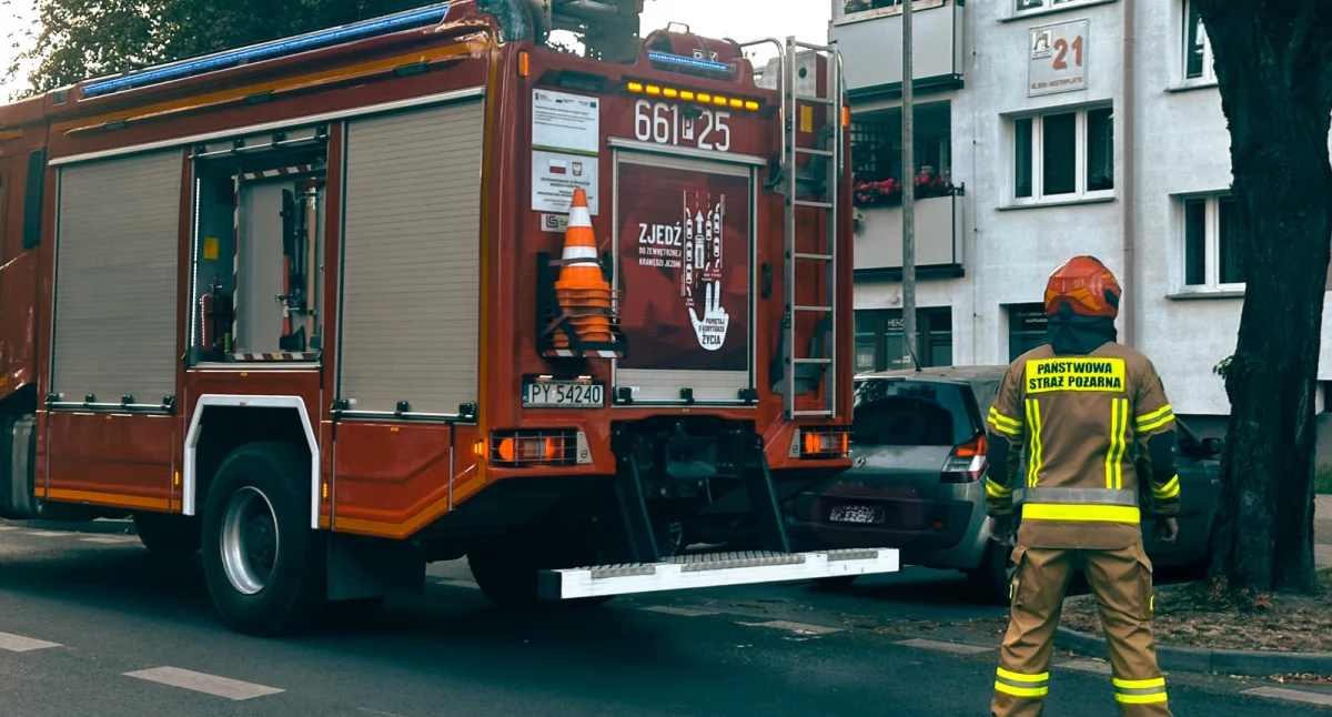 Złamana gałąź zagrażała przechodniom – interweniowali strażacy