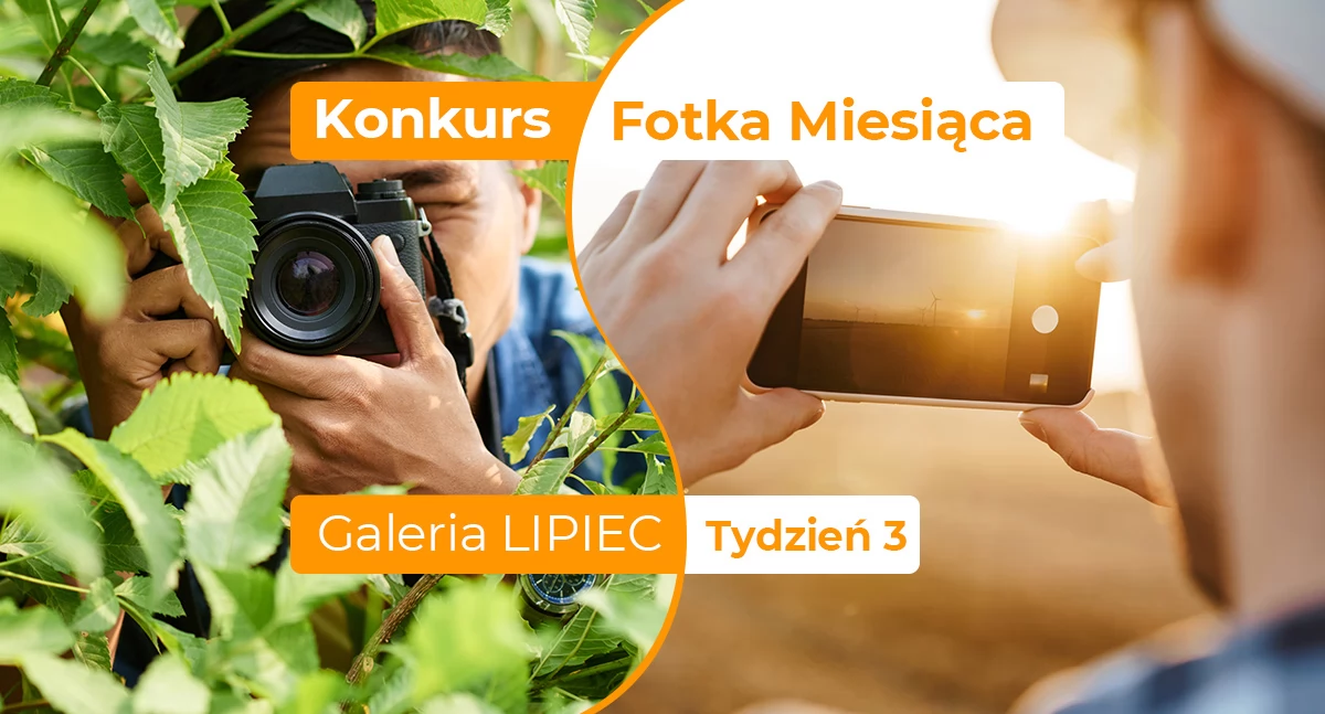 Fotka miesiąca lipca - tydzień trzeci