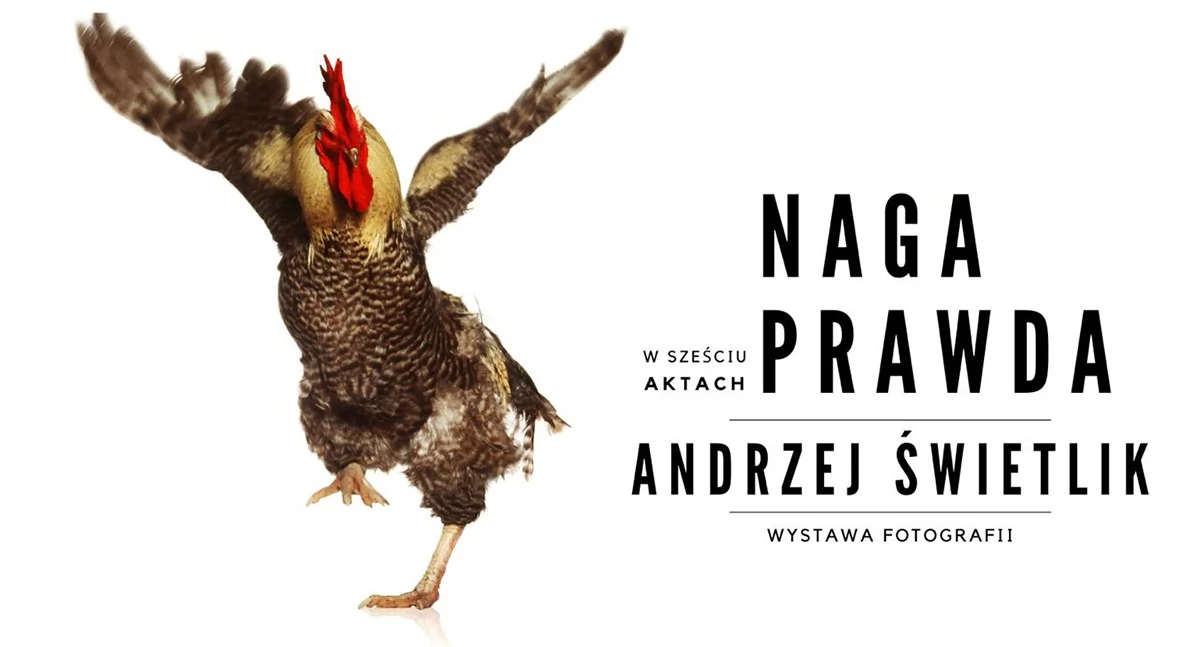 Fotografował Korę, Ciechowskiego, Smarzowskiego - wystawa prac Andrzeja Świetlika