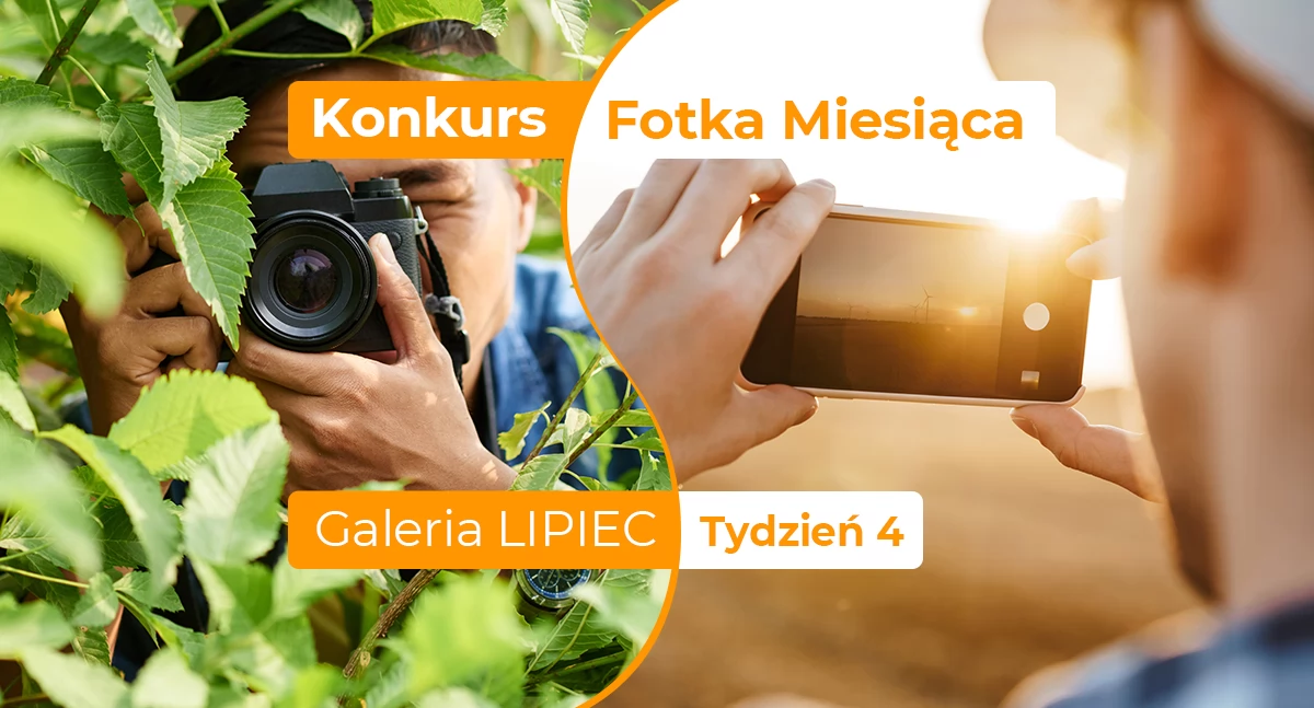 Fotka miesiąca lipca - tydzień czwarty