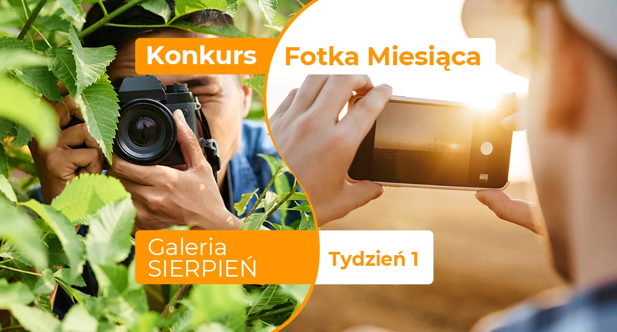 Fotka miesiąca sierpnia - tydzień pierwszy