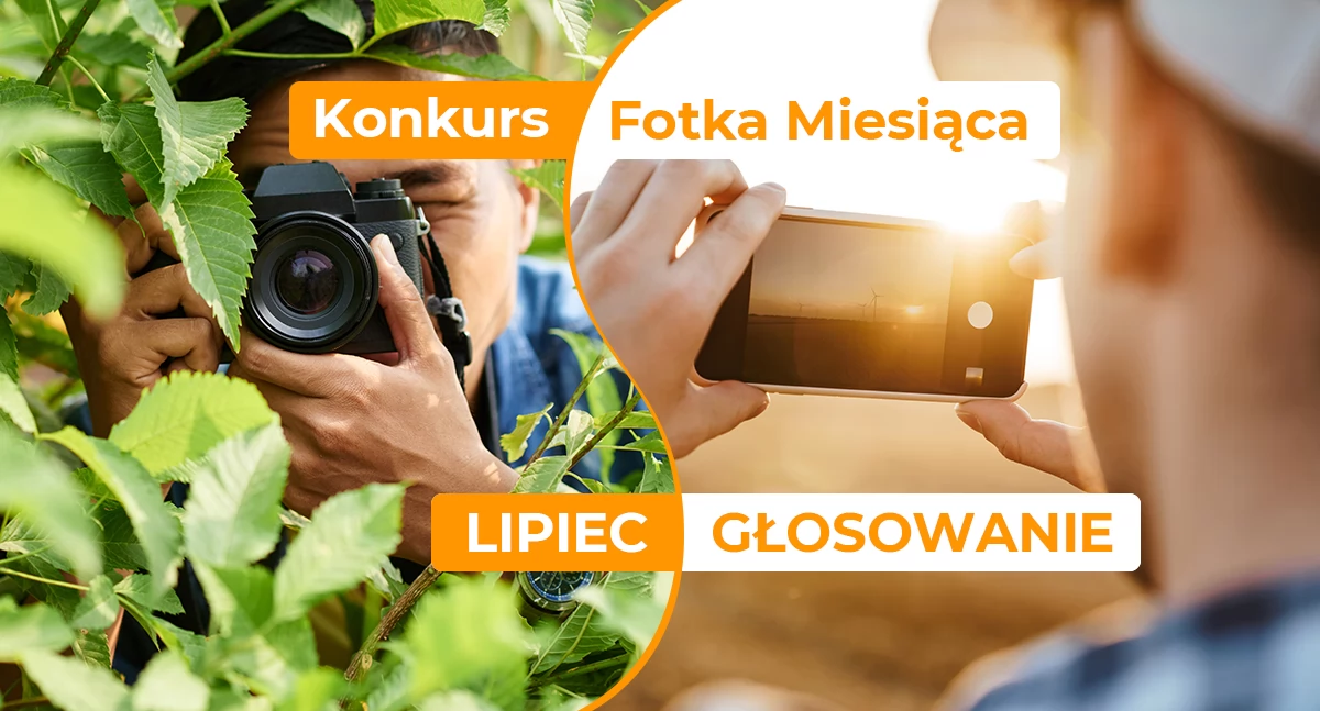 Zagłosuj w konkursie i pomóż wyłonić Fotkę Miesiąca lipca