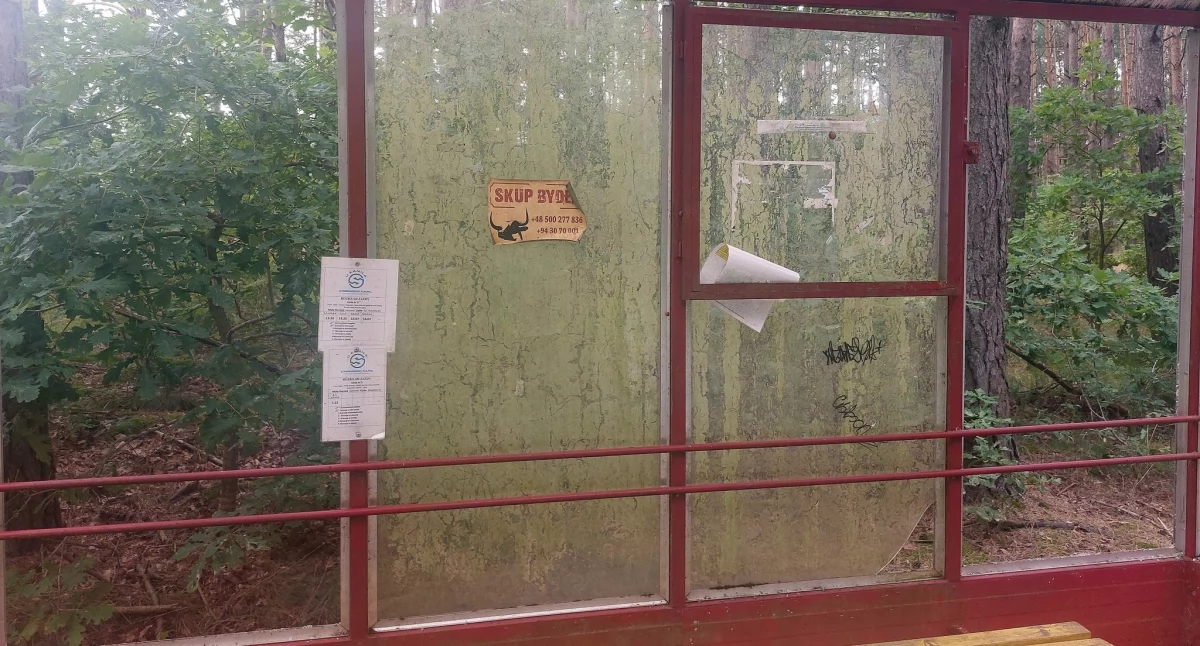 Monitoring kontra wandale. W Lipce zamontują fotopułapki