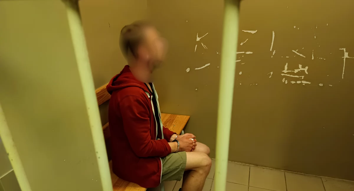 Areszt dla 29-latka z gminy Tarnówka. Lista zarzutów rośnie