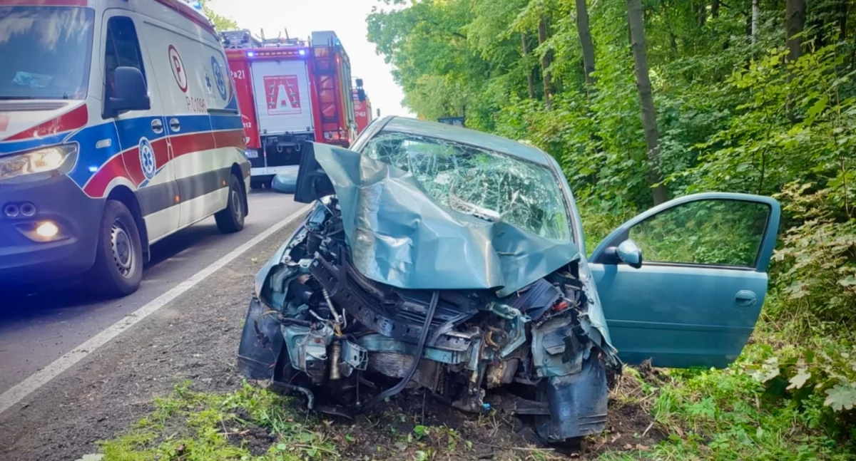Jazda po alkoholu zakończona na drzewie. 21-latka bez prawa jazdy