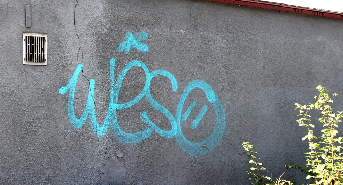Na tropie nielegalnych graffiti. Kim, czym jest weso?