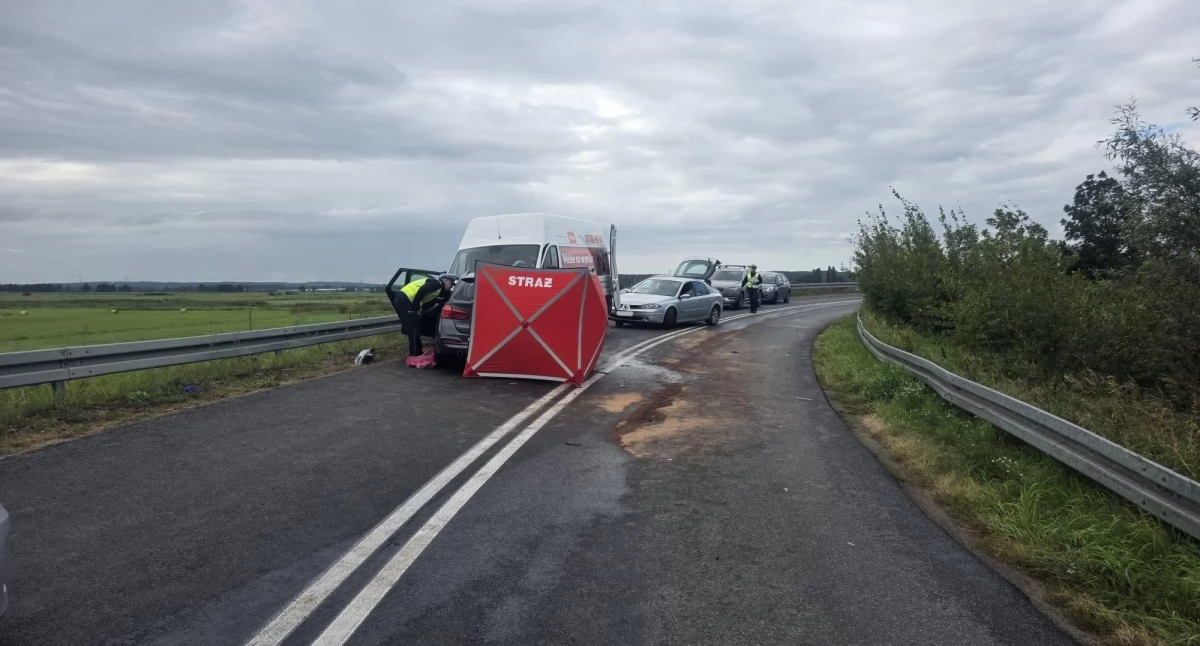 Śmiertelny wypadek na drodze między Krzewiną a Milczem