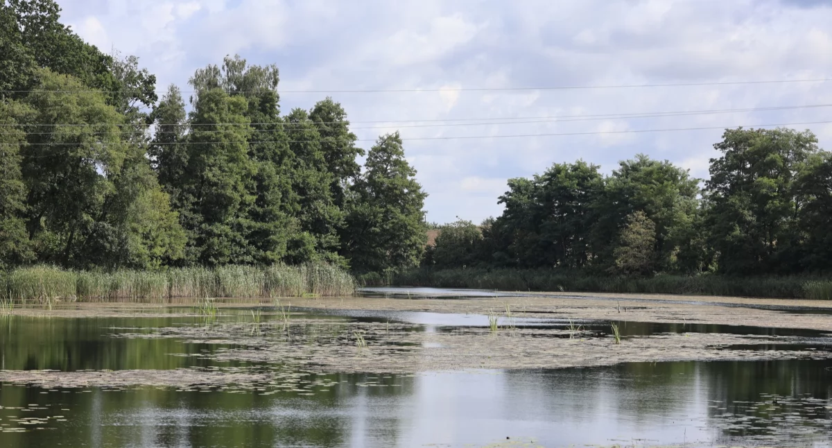 Wspólny projekt gminy Łobżenica i Nadleśnictwa Złotów