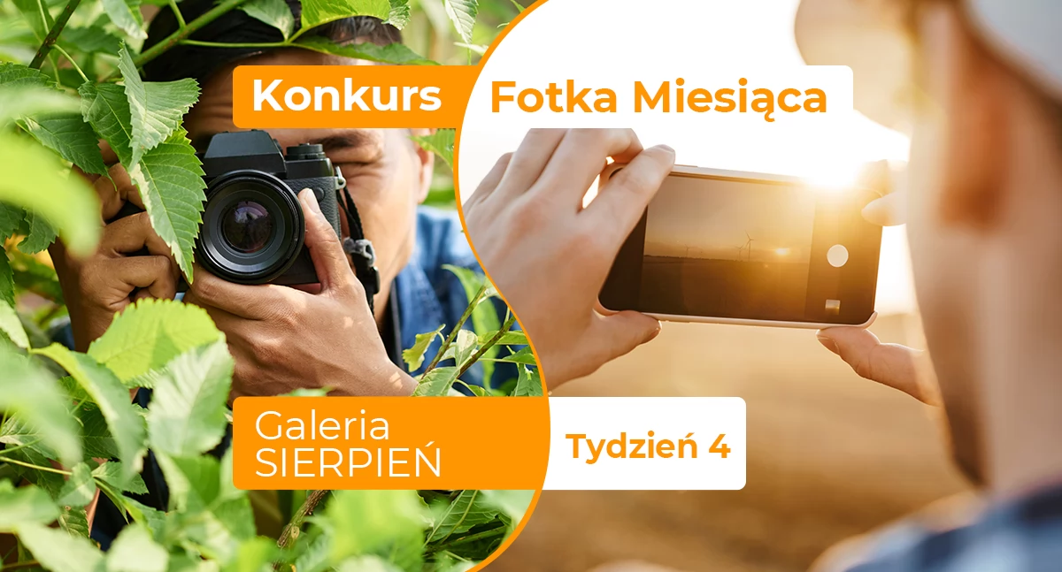 Fotka miesiąca sierpnia - tydzień czwarty
