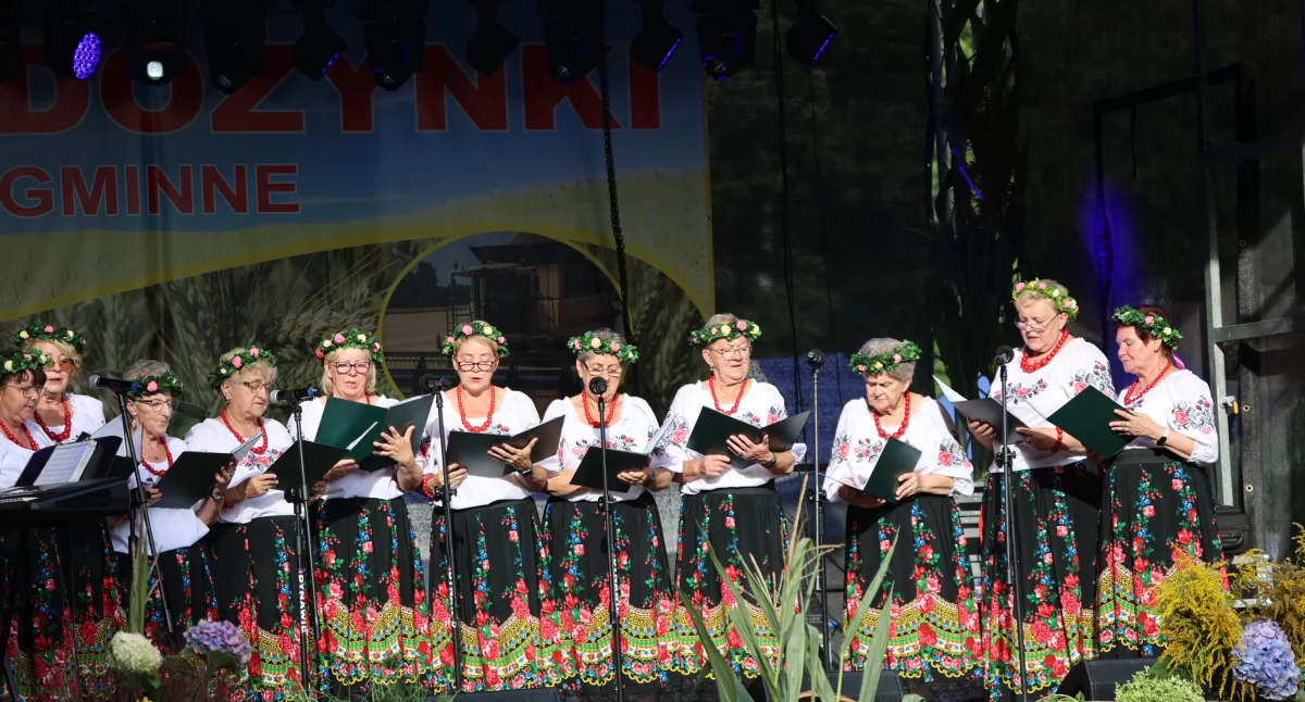 Dożynki Gminne w Lipce