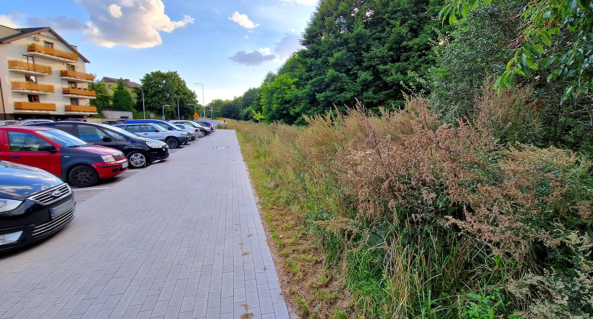Trawa po szyję! Głos jednej kobiety silniejszy od dziesiątek sąsiadów