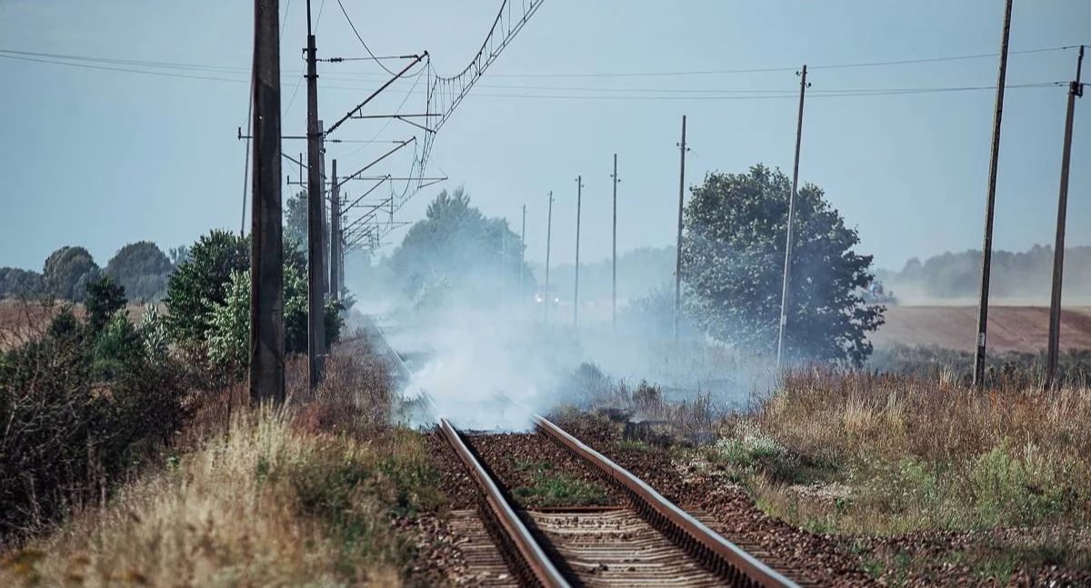 Pożar nasypu kolejowego między Ptuszą a Płytnicą
