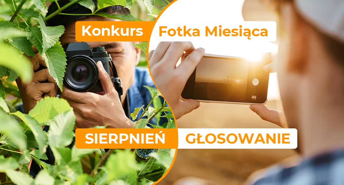 Zagłosuj w konkursie i pomóż wyłonić Fotkę Miesiąca Sierpnia