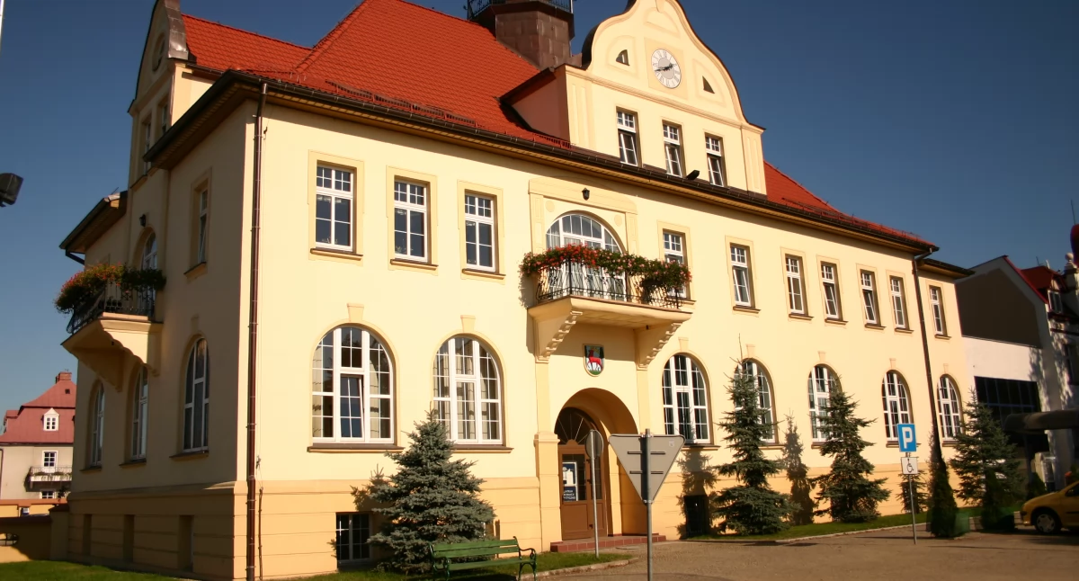 Trybuny, muzyka, integracja czy pomoc dla zwierząt? Czas na głosowanie w Złotowie