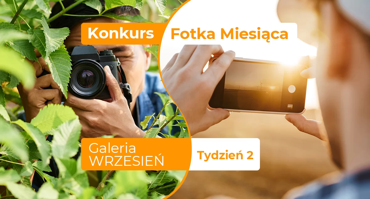 Fotka miesiąca września - tydzień drugi