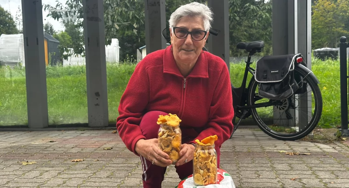 Kujan żyje grzybami. Handel przy drodze wciąż trwa 