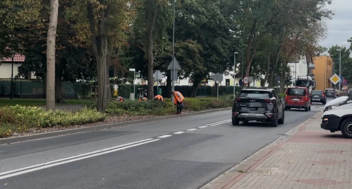 [WIDEO] Panie dbają o miejską zieleń, ale kto zadba o ich bezpieczeństwo?