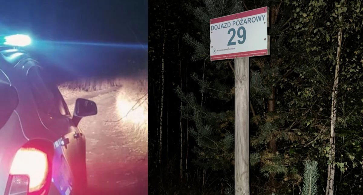 GPS poprowadził w las, odnalazła go policja