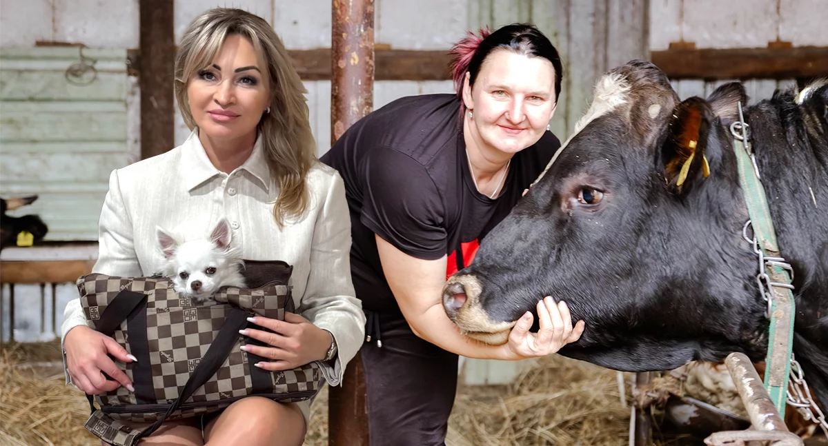 Z Porsche do obory! Dwie kobiety  ze Złotowa zamieniły się życiem