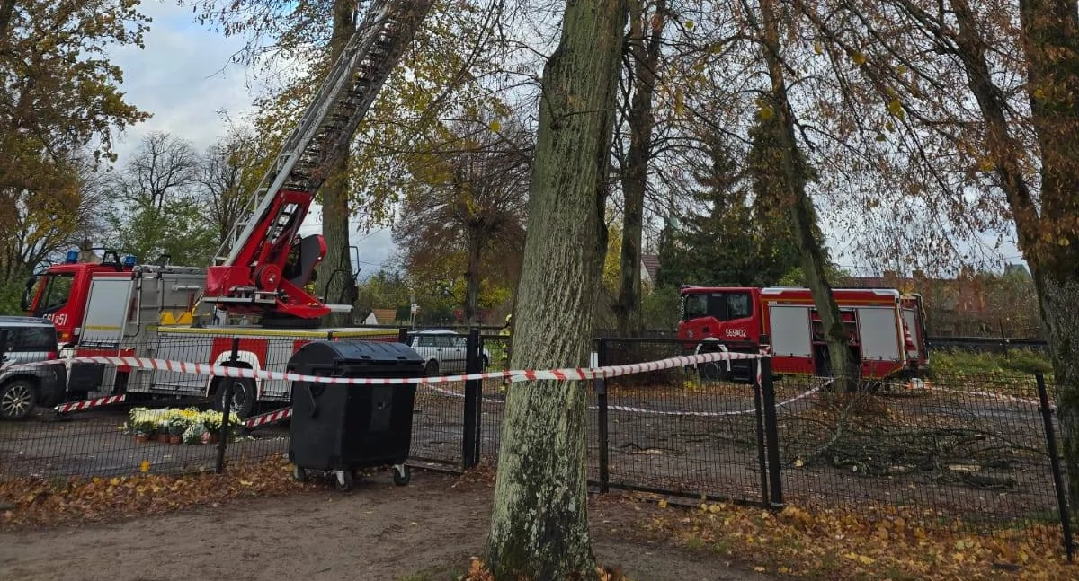 Strażacy z Jastrowia interweniowali w związku z uszkodzonymi drzewami