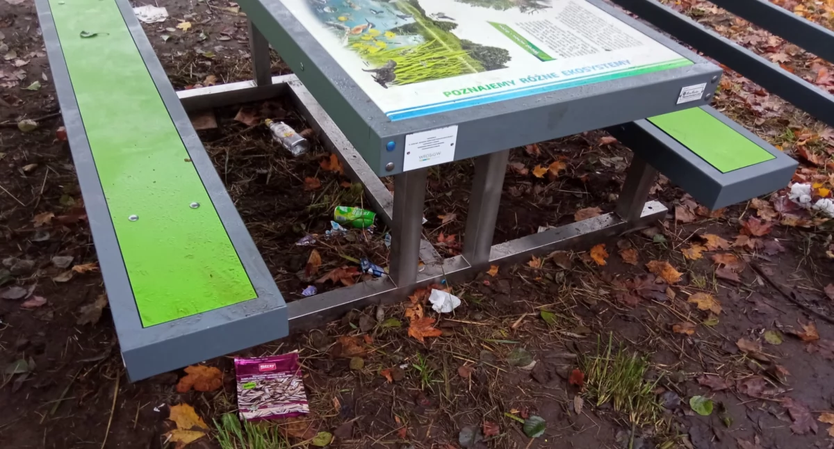 Głomia Park pod okiem kamer. Gmina reaguje na problem śmieci