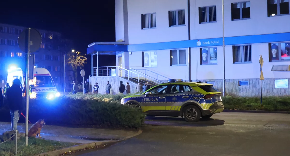 Ponad 17 tysięcy kontroli drogowych. Policja podsumowała 11 miesięcy