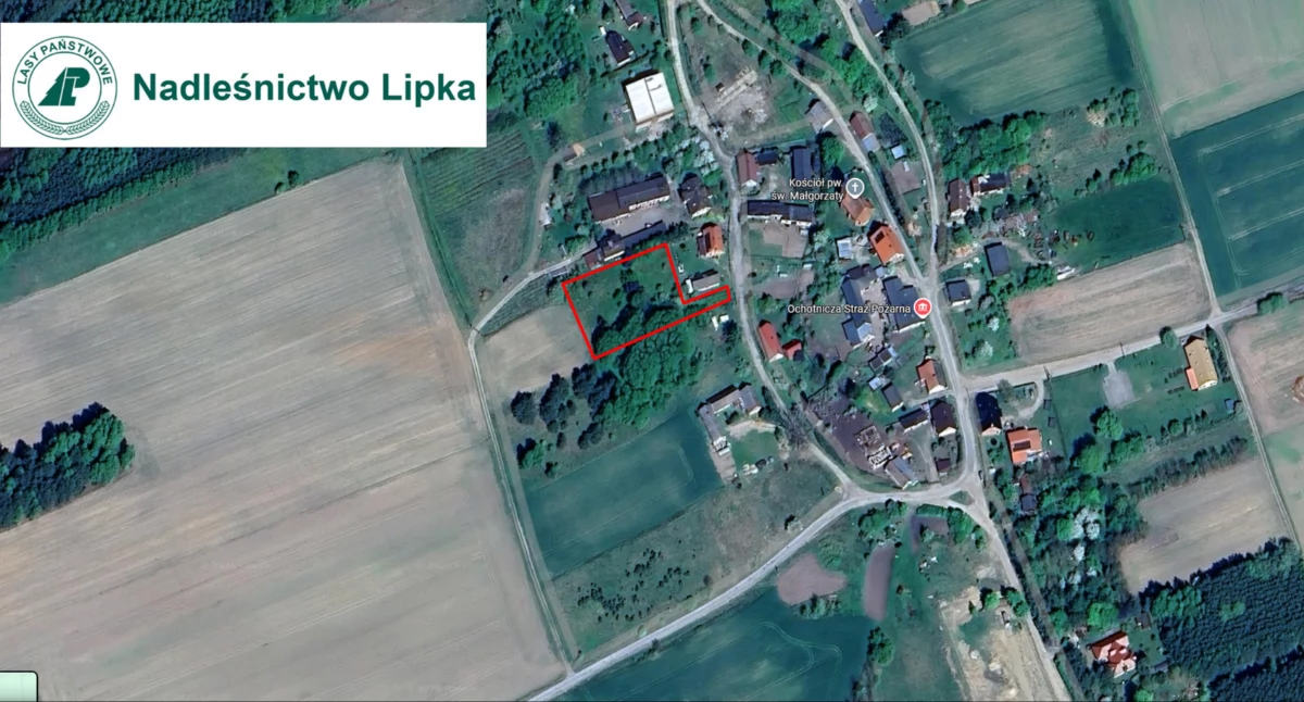 Przetarg ustny na sprzedaż nieruchomości w Krzywej Wsi