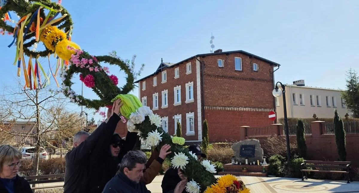 Takiej palmy nie ma nikt. Stanęła w centrum Lipki 