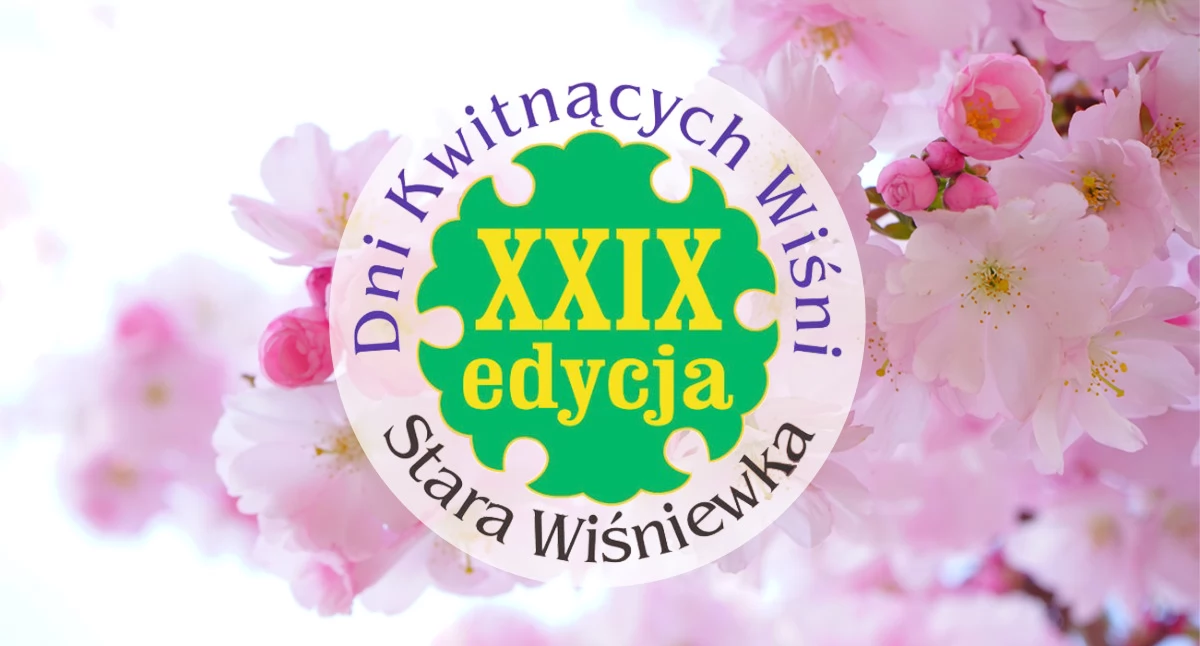 29 edycja Dni Kwitnących Wiśni. Sprawdź program imprezy