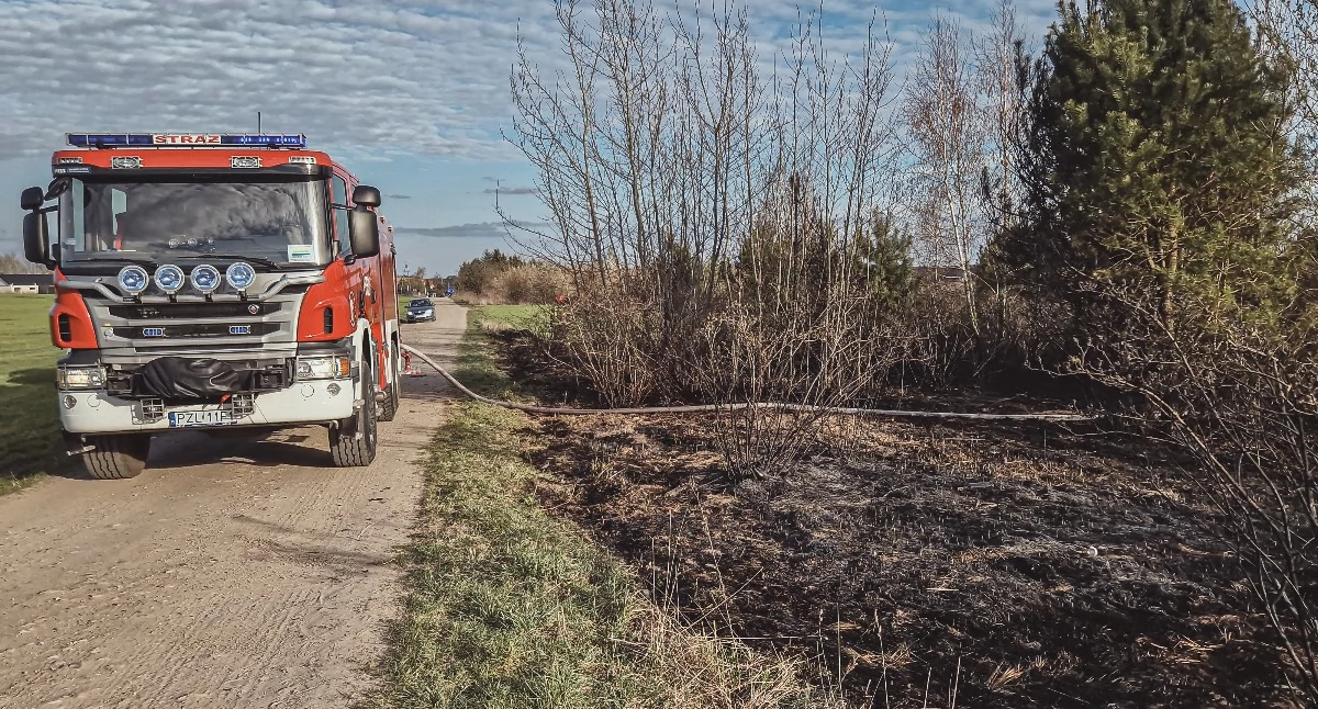Pożar nieużytków w Złotowie