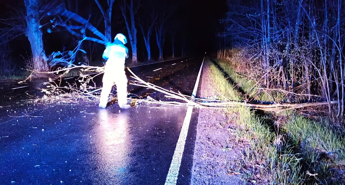 Nocne działania strażaków na trasie Sypniewo–Nadarzyce