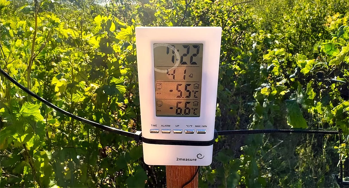 Walka z mrozem na plantacjach. Straty są ogromne