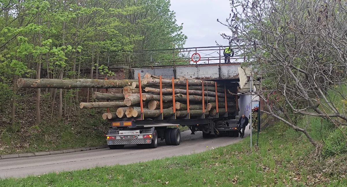 [WIDEO] Pojazd dłużycowy zablokował główną drogę pod wiaduktem